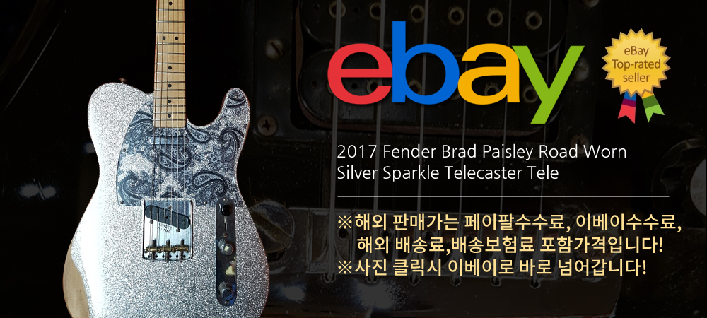 2017 Fender Brad Paisley Road Worn Silver Sparkle  Telecaster