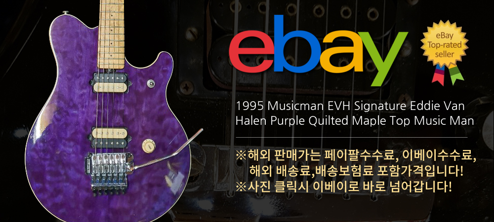 1995 뮤직맨 EVH 시그네춰