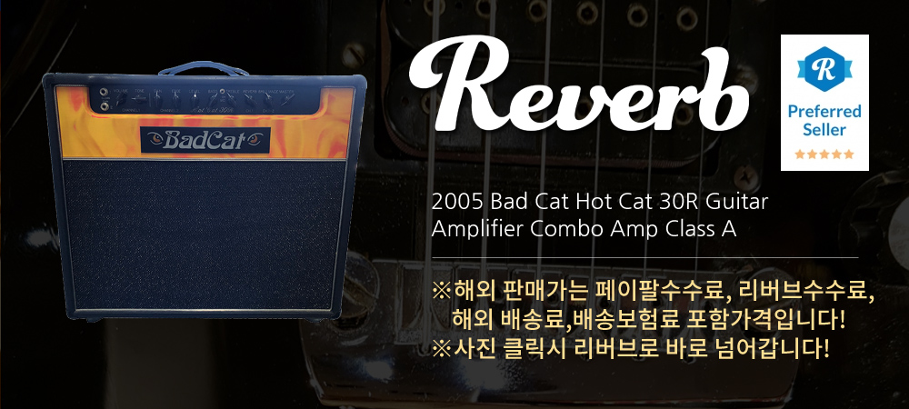 2005 Bad Cat Hot Cat